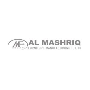 Advanced Business Solutions Customer